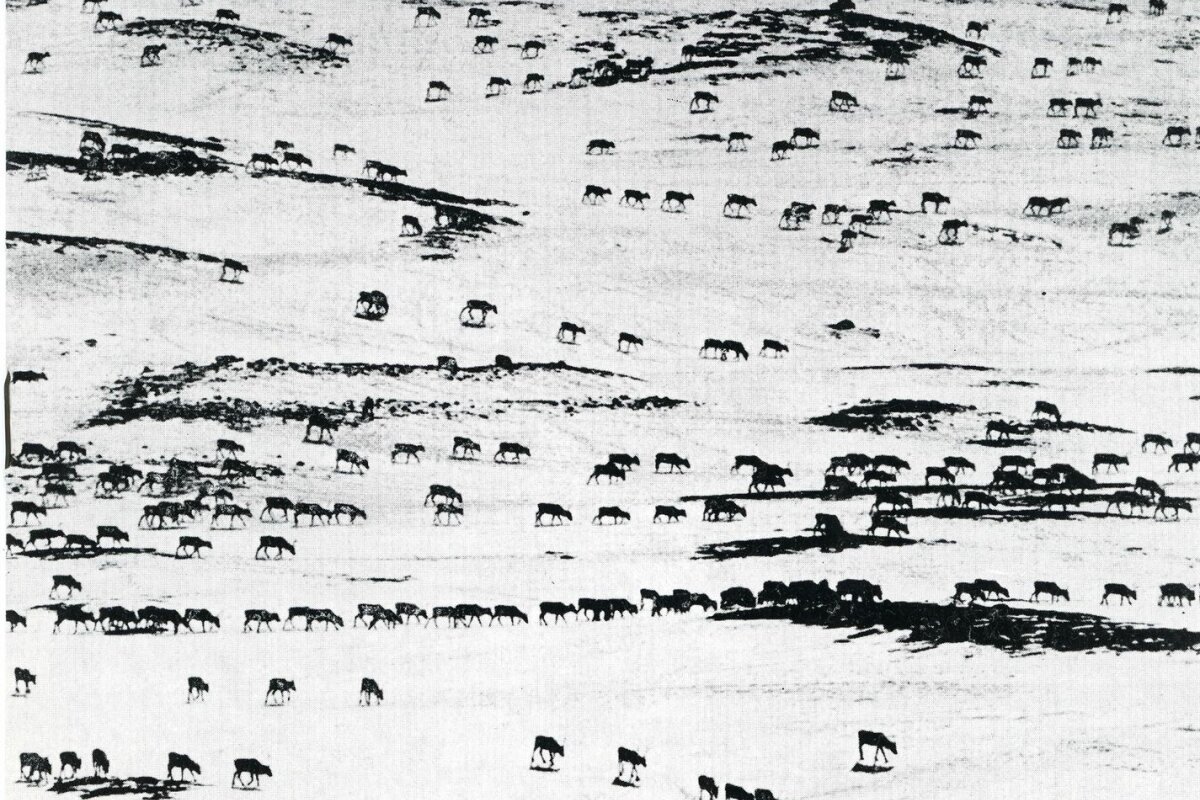 Skupina Tio fotografer